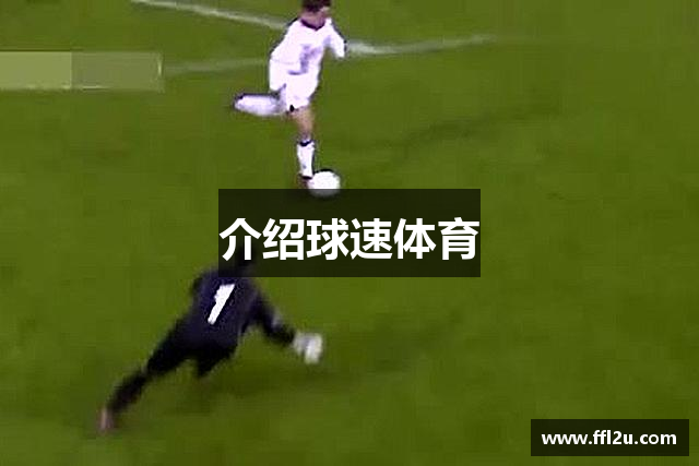 介绍球速体育